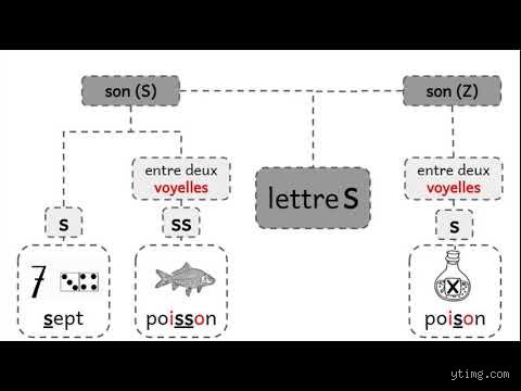 Quand la Lettre T se Prononce S en Français : Une Nuanced Phonétique