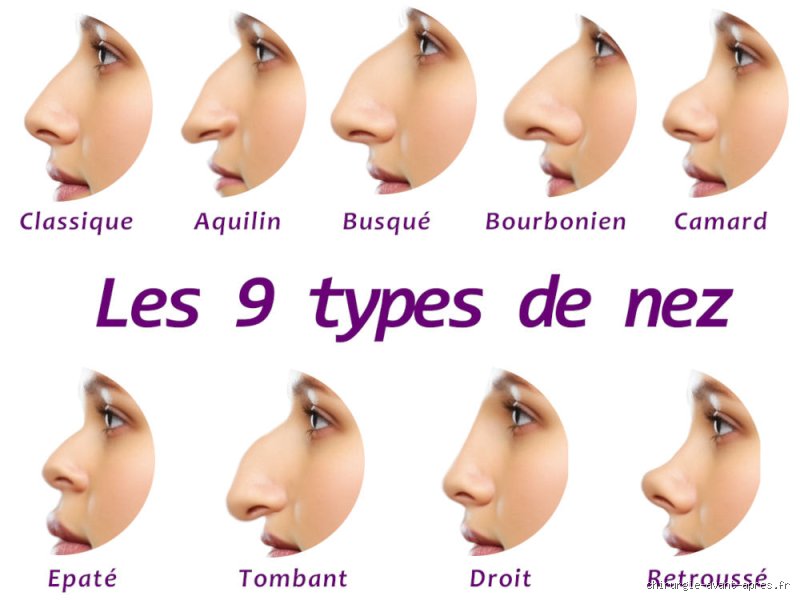 Quel est l'adjectif dérivé de nez ?