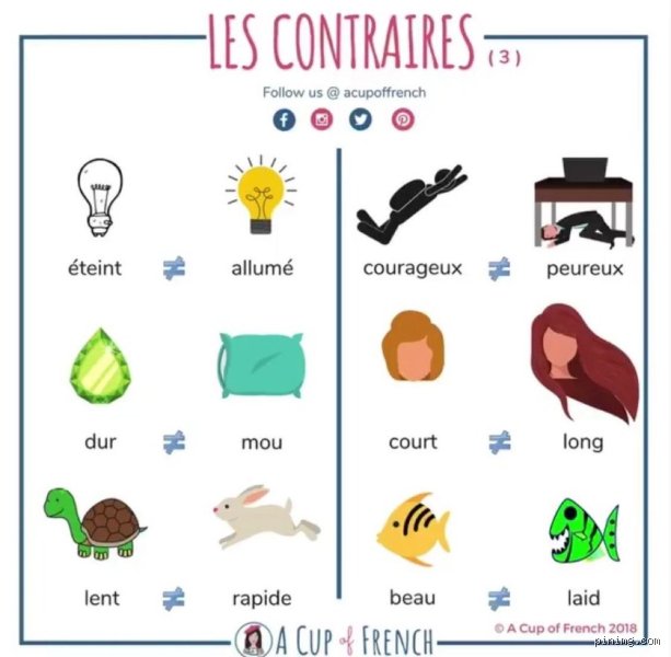 Quel est le contraire de surprise ?
