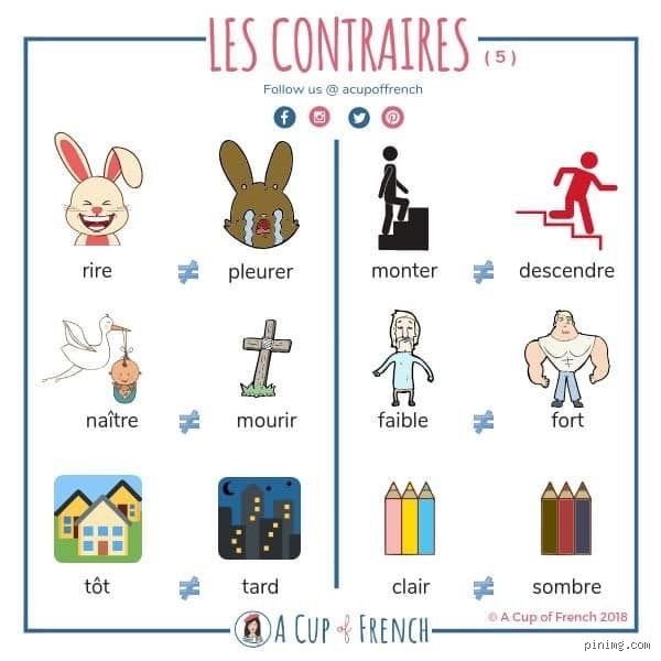 Quel est le contraire de tenace ? Exploration des antonymes et nuances