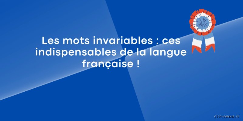 Quel est le mot le moins utilisé de la langue française ?