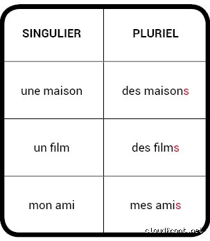 Quel est le pluriel de papa ? Analyse linguistique et règles cachées d'un mot quotidien