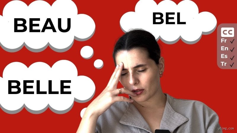 Quelle est la différence entre bel et belle ?