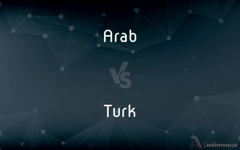 Quelle est la différence entre le turc et l'arabe ?