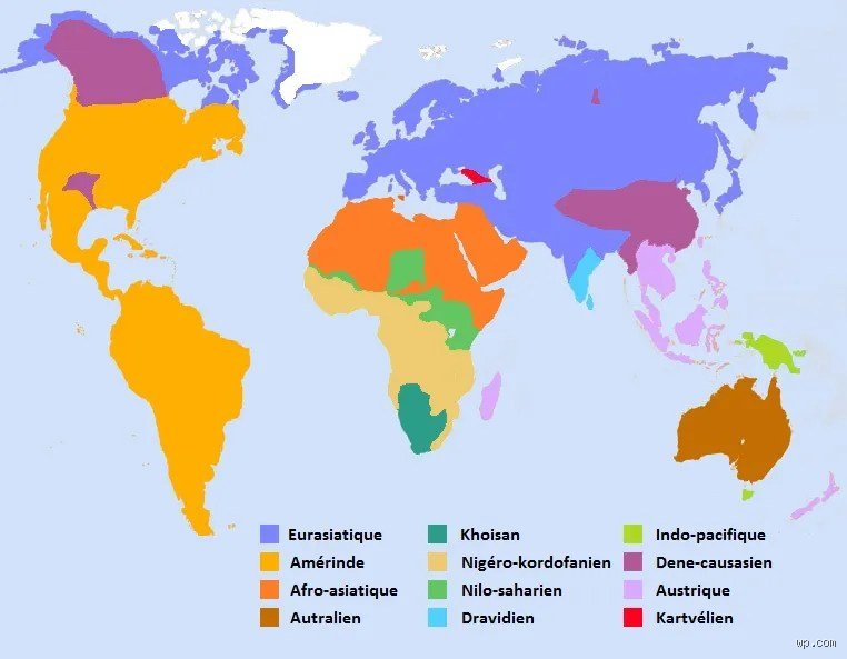 Quelle est la langue d'origine ? Un voyage à travers les racines linguistiques