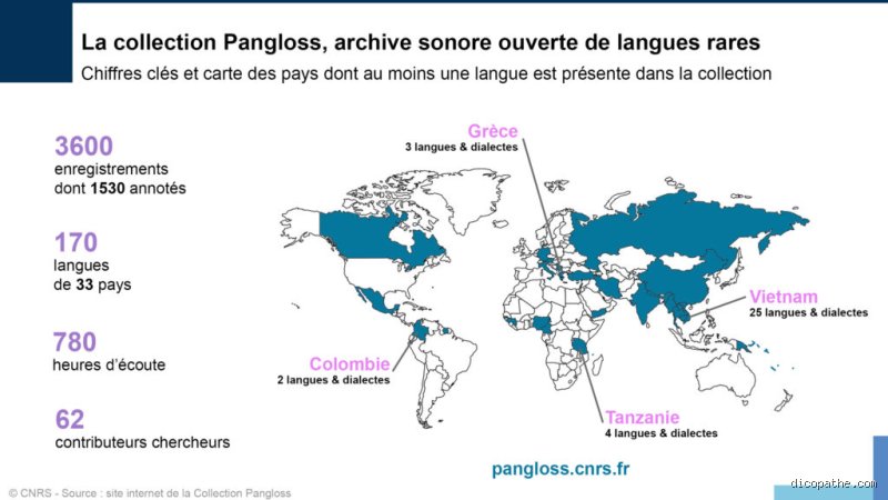 Quelle est la langue la plus rare ?