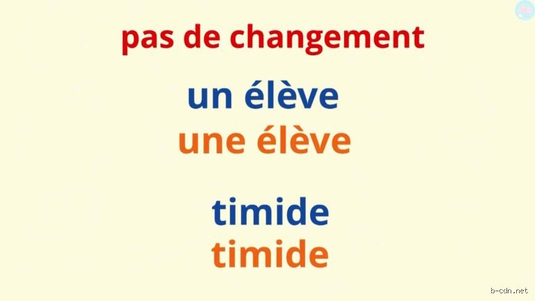 Ces mots du quotidien : Quels noms se moquent du genre et restent les mêmes au féminin ?