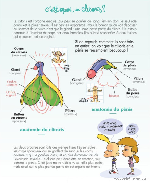 Comment appelle-t-on un zizi ? Rires, tabous et vérité !