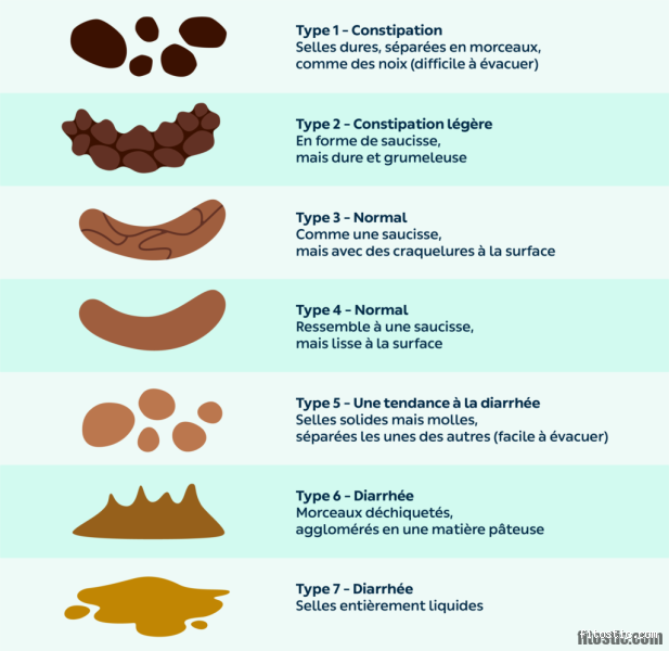 Comment dire poliment qu'on vomit ? Trouvez le bon mot