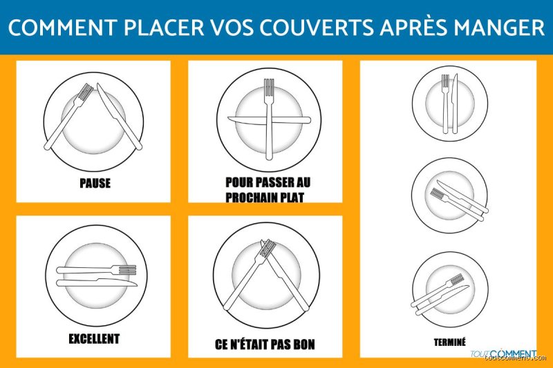 Comment indiquer qu'on a fini de manger au restaurant ? Le guide ultime pour maîtriser la géométrie invisible de votre assiette