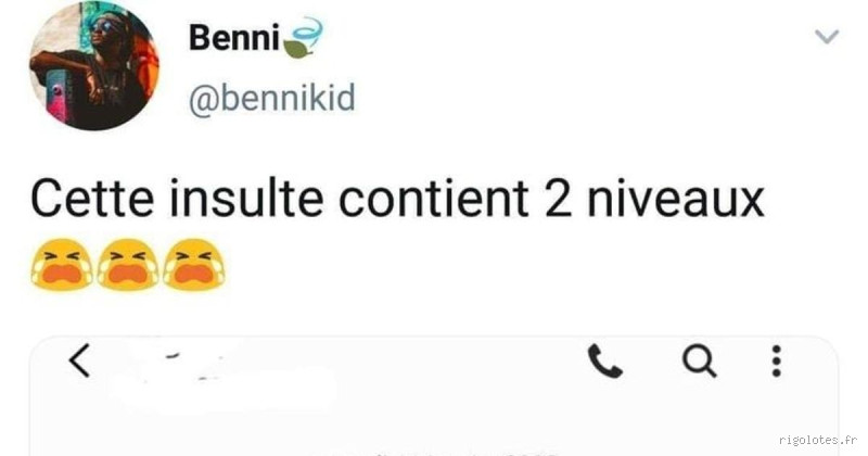 Quelles sont les meilleures insultes ? Découvrez celles qui font mouche !