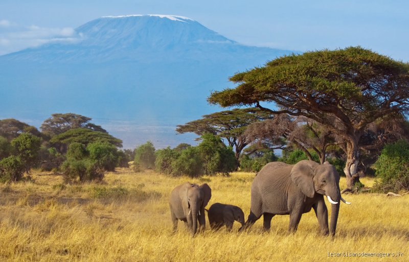 Comment déménager en Afrique ?