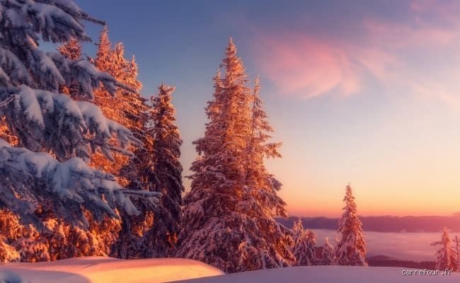 Où trouver le soleil d'hiver au meilleur prix ? Les astuces de pro pour fuir la grisaille sans vider son livret A