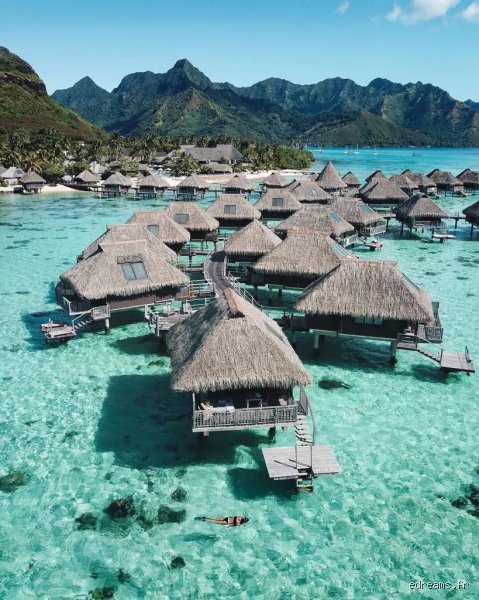 Quelle est l'île paradisiaque française ? Le guide ultime pour choisir votre prochain éden tricolore