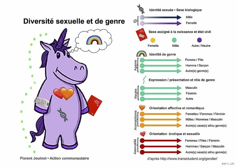Comprendre les différents genres LGBT : décryptage complet des identités et de la diversité des genres