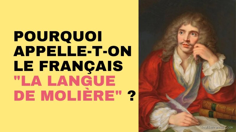 Comment appelle-t-on aussi le français ? Voyage au cœur des mille et une facettes de la langue de Molière