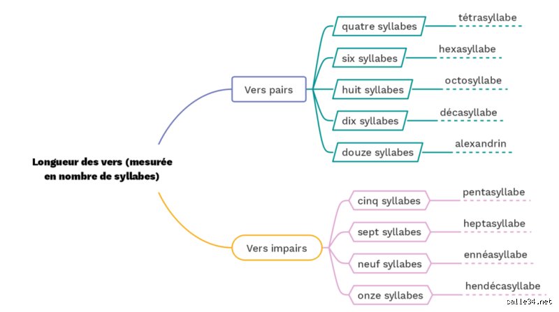Comment s'appelle un vers sans rime ? Définitions et subtilités techniques