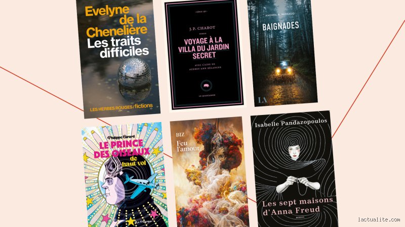 Quel bon livre acheter ?