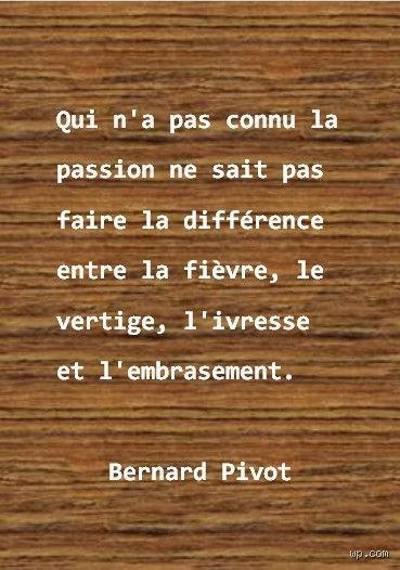 Quelle est la vraie différence entre un proverbe et une citation ? Une clarification nécessaire