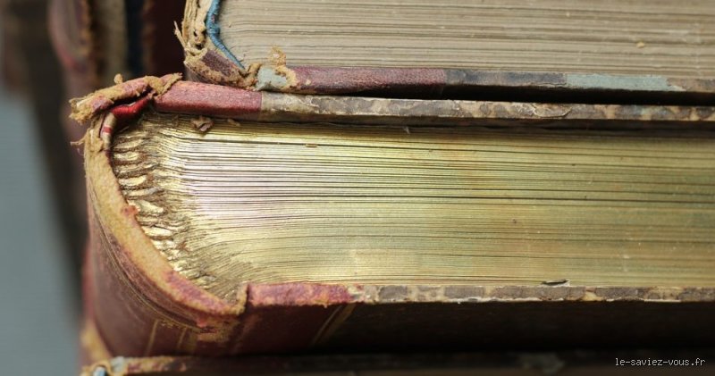 Quel est le plus grand livre de tous les temps ?