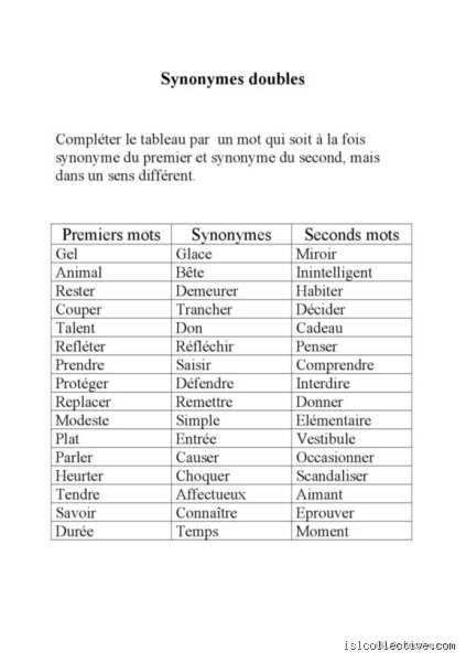 Quel est le synonyme de vocabulaire ?