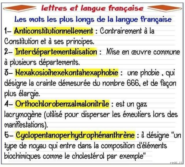 Quel est un mot incroyable de la langue française ? Le destin fabuleux de la sérendipité, entre hasard et génie