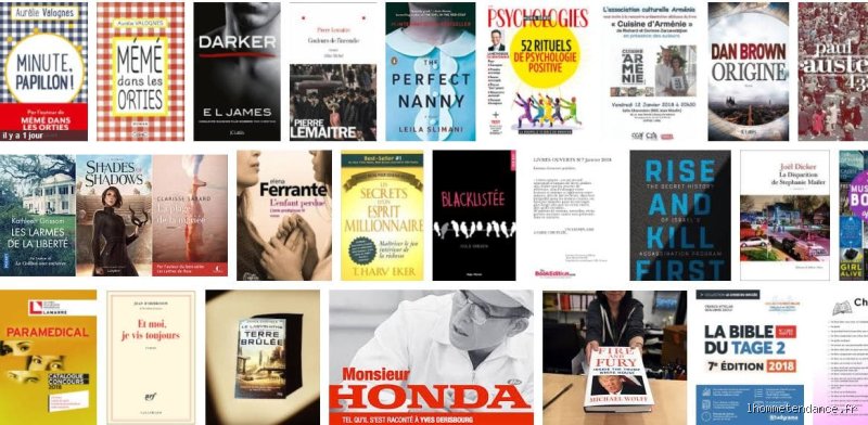 Quel genre de livre se vend le mieux ?