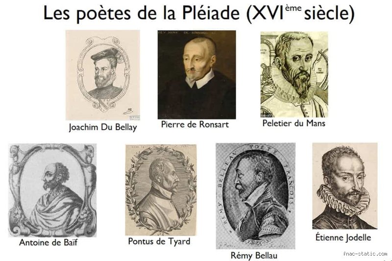 Quelles sont les idées de la Pléiade ?