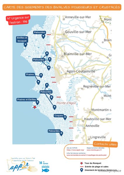 Quel est le meilleur endroit pour la pêche à pied en France ? Le guide ultime des spots secrets et des règles d’or