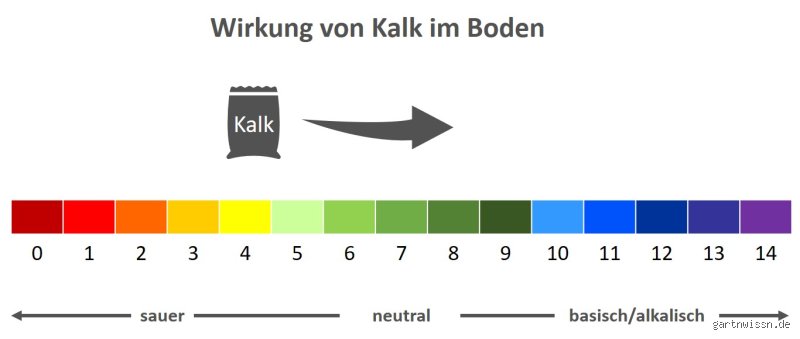 Bei welchem pH-Wert löst sich Kalk auf?