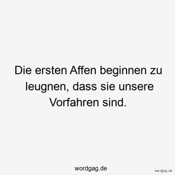 Sind Affen unsere Vorfahren?