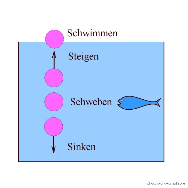 Wann sinkt etwas im Wasser?