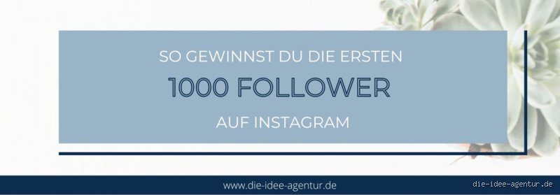 Was kosten 1000 Follower?