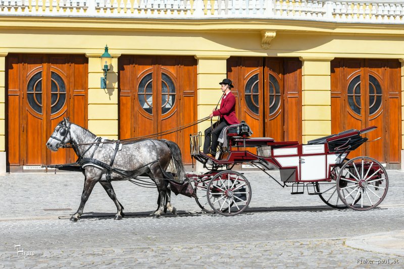 Was kostet eine Fahrt mit dem Fiaker in Wien?