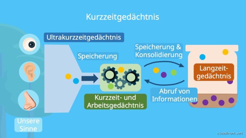 Was merkt man sich im Kurzzeitgedächtnis?
