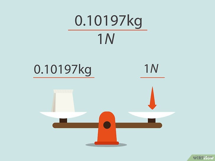 Wie berechnet man N in kg? Alles, was du wissen musst