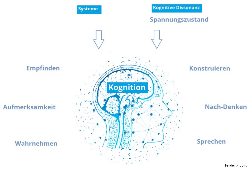Wie viele kognitive Fähigkeiten gibt es?