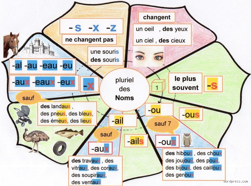 Où commence le pluriel ?