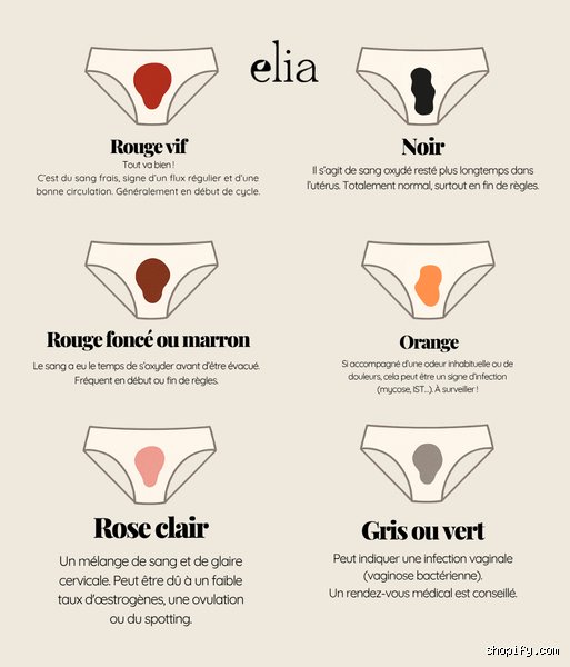 Pourquoi utilise-t-on la règle ? Les secrets d’un instrument millénaire qui dicte encore notre rapport à la précision
