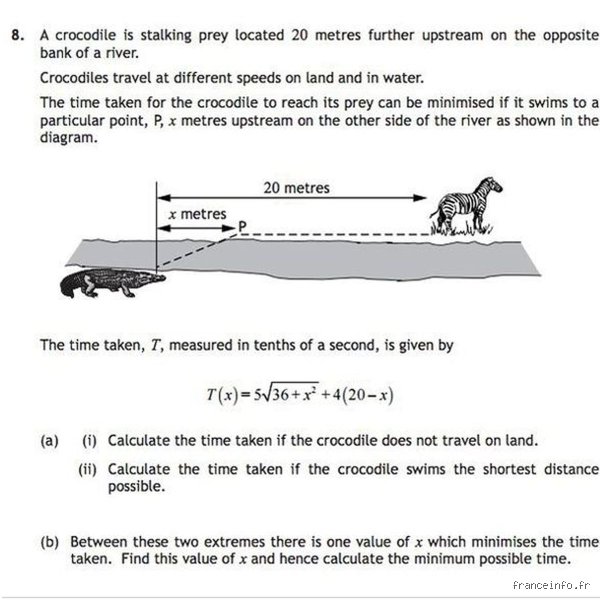 Quel est le problème de maths le plus dur au monde ? Entre l'hypothèse de Riemann et le génie de Perelman