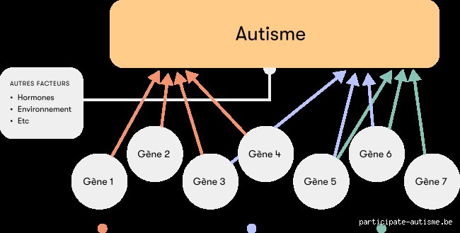 Est-ce que l'autisme se transmet genetiquement ?