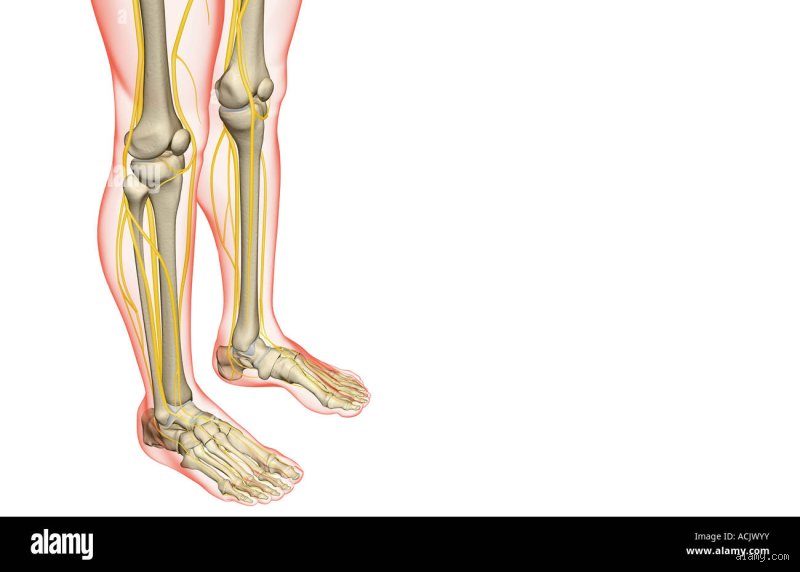 Douleur nerveuse dans la jambe : quel spécialiste consulter pour enfin souffler ?