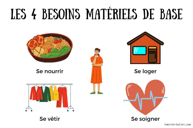 Quels sont les 4 besoins fondamentaux des êtres vivants ? Comprendre les piliers invisibles qui maintiennent la machinerie biologique en vie
