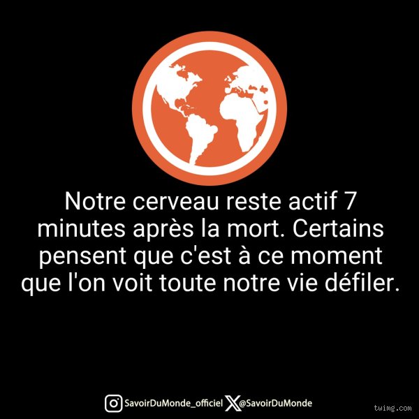 Quels sont les 7 minutes après la mort : ce qu'il se passe vraiment quand le rideau tombe