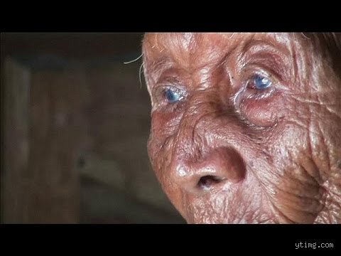 Qui a vécu plus de 150 ans ? Enquête sur les frontières de la biologie et les mirages de la longévité extrême