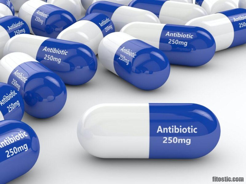 Quand commencer à faire effet amoxicilline ?