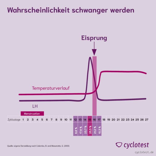 Kann man nach 1 Tag schwanger werden? Alles, was du wissen musst