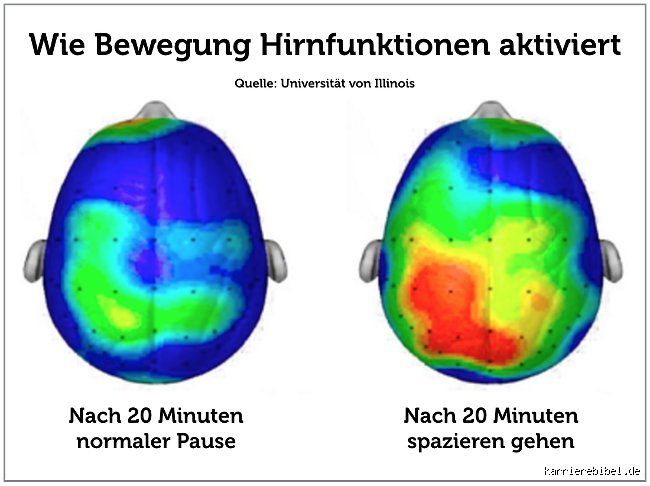 Was steigert die Gehirnaktivität?