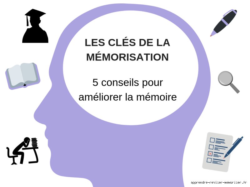 Comment améliorer sa mémoire rapidement ?