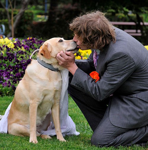 Comment Appelle-t-on le mariage entre homme et animal ?